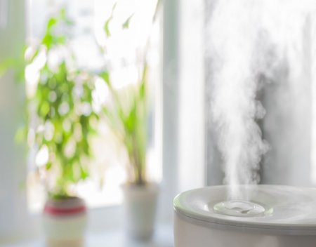 Types of Home Humidifiers